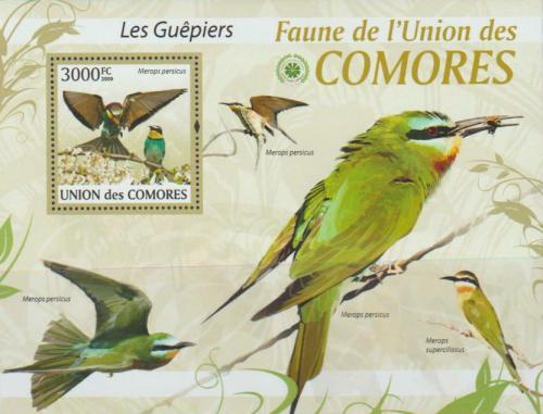 Poštová známka Komory 2009 Vlha zelená Mi# 2417 Kat 15€