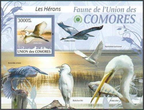 Poštová známka Komory 2009 Volavky Mi# 2422 Kat 15€