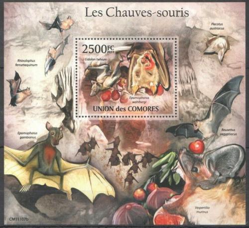 Poštová známka Komory 2011 Netopiere Mi# Block 632 Kat 13€