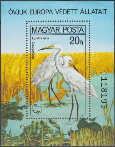 Poštová známka Maïarsko 1980 Volavka Mi# Block 146