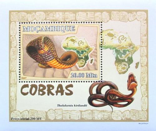 Poštová známka Mozambik 2007 Hady DELUXE Mi# 3000 Block