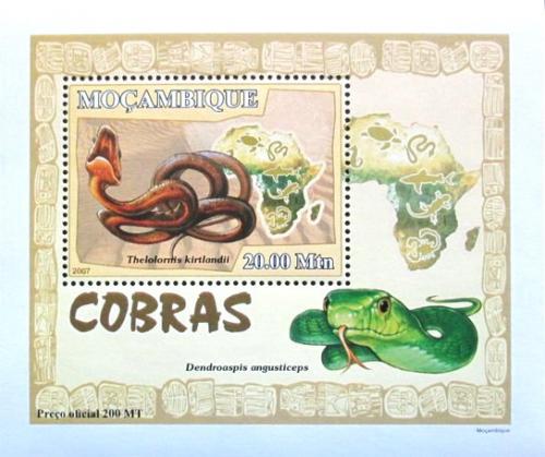 Poštová známka Mozambik 2007 Hady DELUXE Mi# 3001 Block