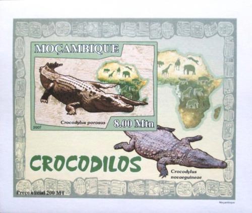Poštová známka Mozambik 2007 Krokodíly DELUXE neperf. Mi# 2984 B Block