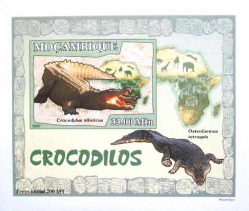 Poštová známka Mozambik 2007 Krokodíly DELUXE neperf. Mi# 2987 B Block