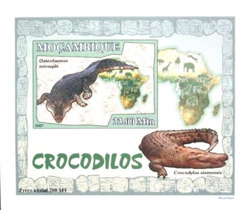 Poštová známka Mozambik 2007 Krokodíly DELUXE neperf. Mi# 2988 B Block