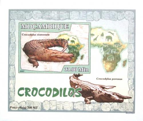 Poštová známka Mozambik 2007 Krokodíly DELUXE neperf. Mi# 2989 B Block