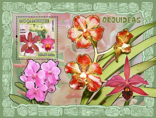 Poštová známka Mozambik 2007 Orchideje Mi# Block 212 Kat 10€
