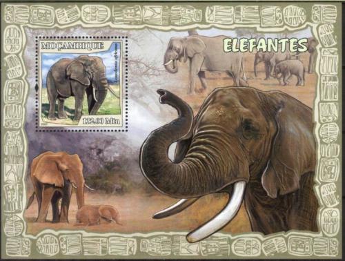 Poštová známka Mozambik 2007 Slony Mi# Block 228 Kat 10€ 