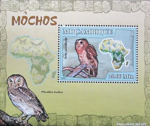 Poštová známka Mozambik 2007 Sovy DELUXE Mi# 3017 Block
