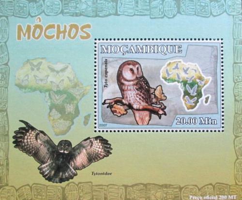 Poštová známka Mozambik 2007 Sovy DELUXE Mi# 3018 Block