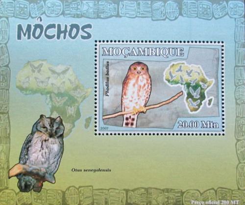 Poštová známka Mozambik 2007 Sovy DELUXE Mi# 3019 Block