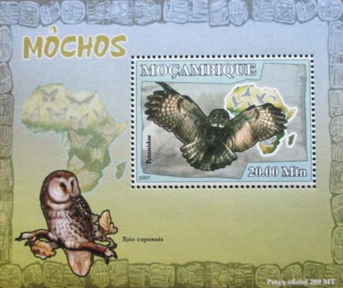 Poštová známka Mozambik 2007 Sovy DELUXE Mi# 3021 Block