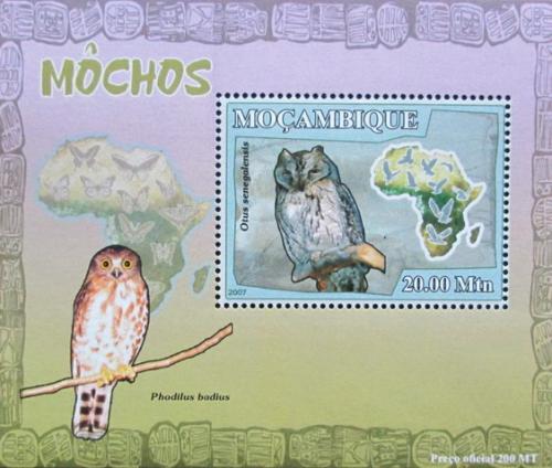 Poštová známka Mozambik 2007 Sovy DELUXE Mi# 3022 Block