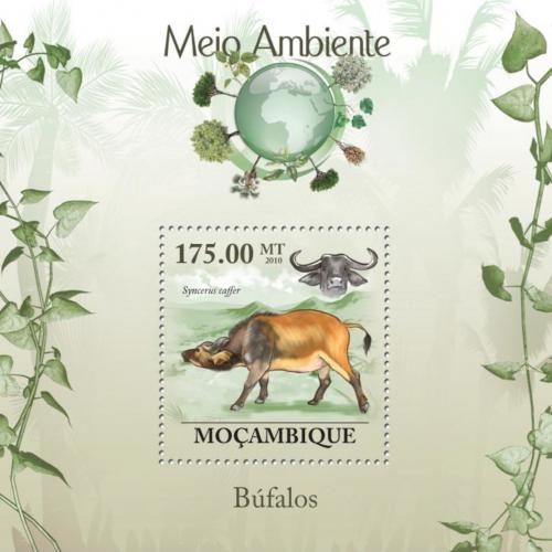 Poštová známka Mozambik 2010 Buvol africký Mi# Block 302 Kat 10€