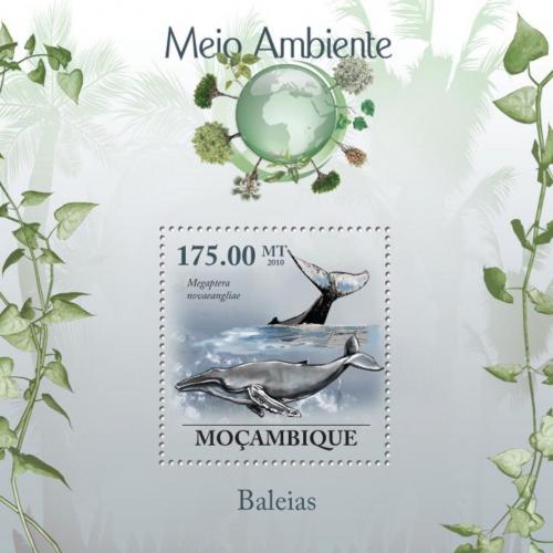 Poštová známka Mozambik 2010 Keporkak Mi# Block 312 Kat 10€