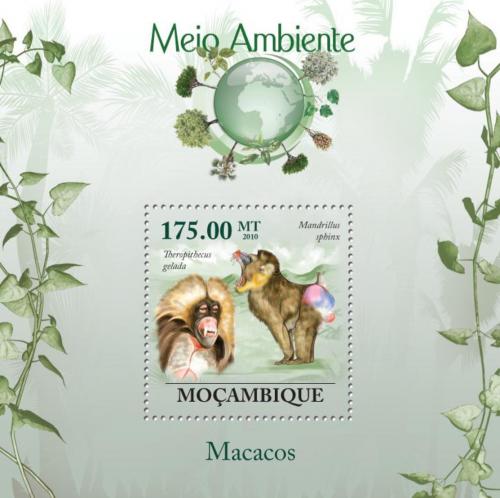 Poštová známka Mozambik 2010 Opice Mi# Block 313 Kat 10€