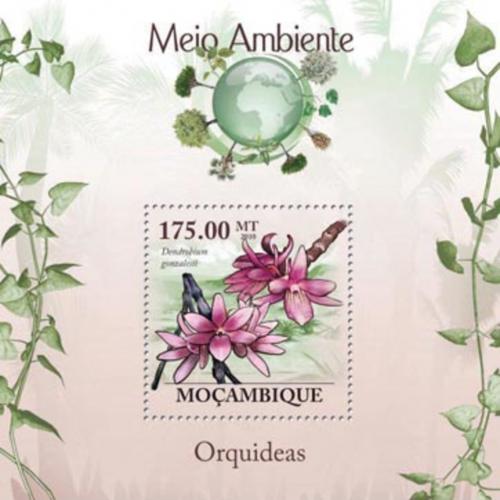 Poštová známka Mozambik 2010 Orchideje Mi# Block 290 Kat 10€