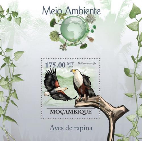 Poštová známka Mozambik 2010 Orol jasnohlasý Mi# Block 294 Kat 10€