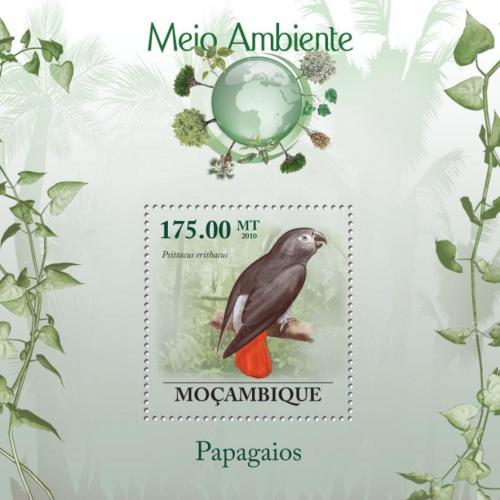 Poštová známka Mozambik 2010 Papoušek šedý Mi# Block 295 Kat 10€