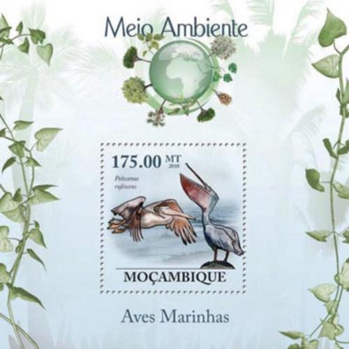 Poštová známka Mozambik 2010 Pelikán africký Mi# Block 293 Kat 10€