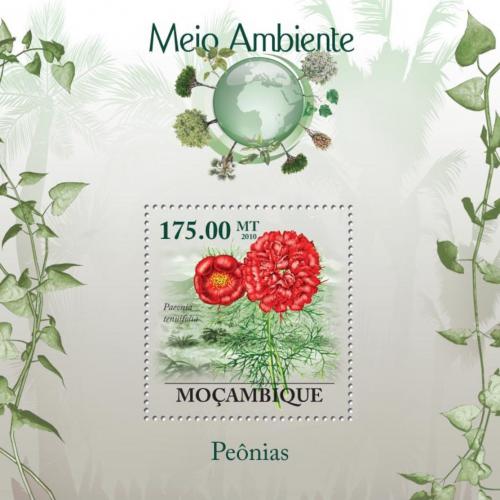 Poštová známka Mozambik 2010 Pivoòky Mi# Block 289 Kat 10€