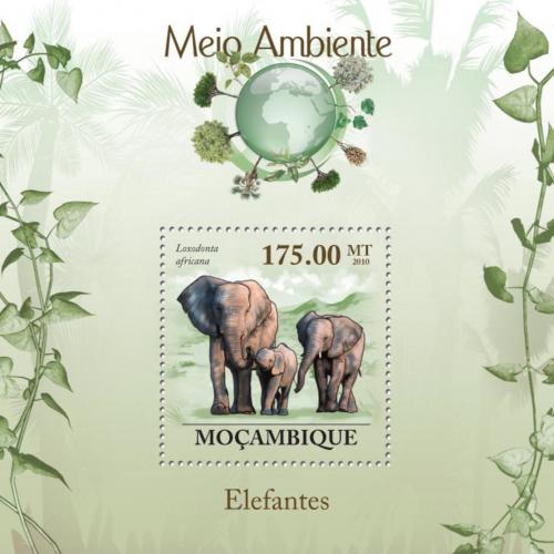 Poštová známka Mozambik 2010 Slon africký Mi# Block 300 Kat 10€