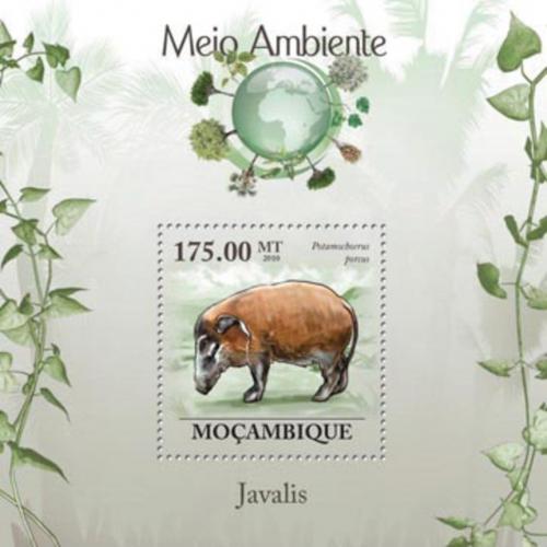 Poštová známka Mozambik 2010 Štìtkoun africký Mi# Block 299 Kat 10€