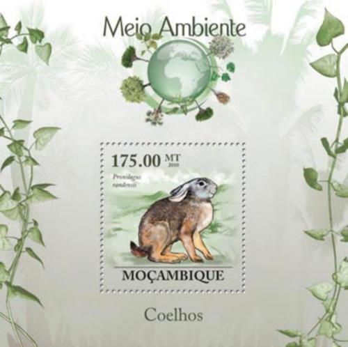Poštová známka Mozambik 2010 Zajíc Jamesonùv èervený Mi# Block 301 Kat 10€