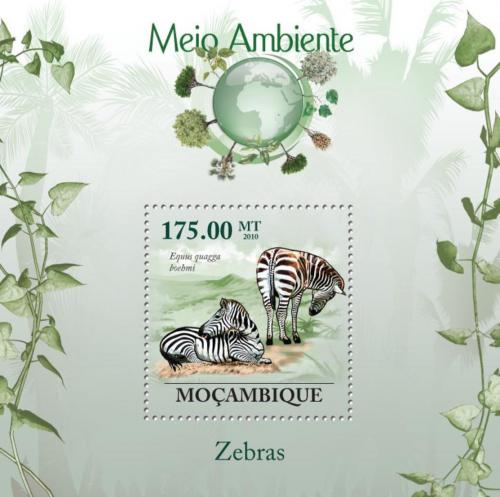 Poštová známka Mozambik 2010 Zebra Böhmova Mi# Block 297 Kat 10€
