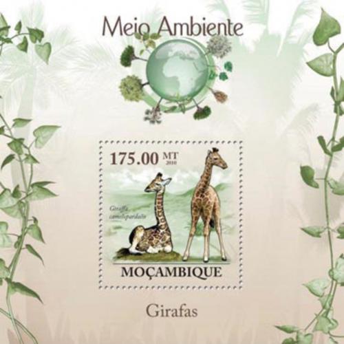 Poštová známka Mozambik 2010 Žirafy Mi# Block 298 Kat 10€