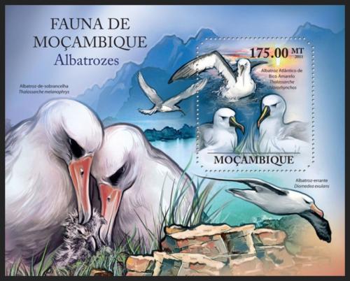 Poštová známka Mozambik 2011 Albatros Mi# Block 502 Kat 10€