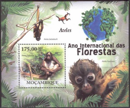Poštová známka Mozambik 2011 Chápan Mi# Block 431 Kat 10€