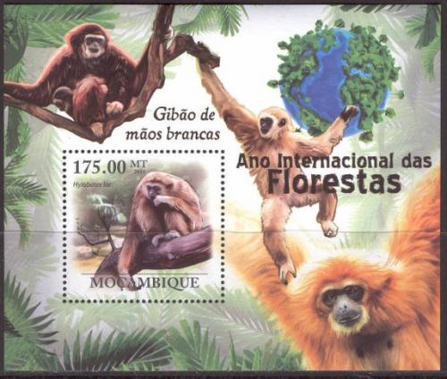 Poštová známka Mozambik 2011 Gibon lar Mi# Block 427 Kat 10€