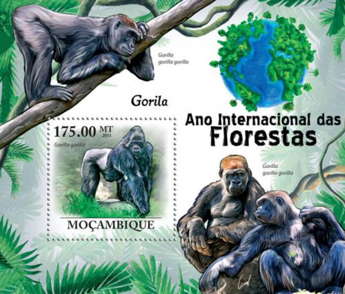 Poštová známka Mozambik 2011 Gorila východní nížinná Mi# Block 432 Kat 10€