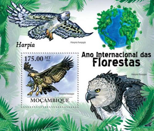 Poštová známka Mozambik 2011 Harpyje pralesní Mi# Block 414 Kat 10€