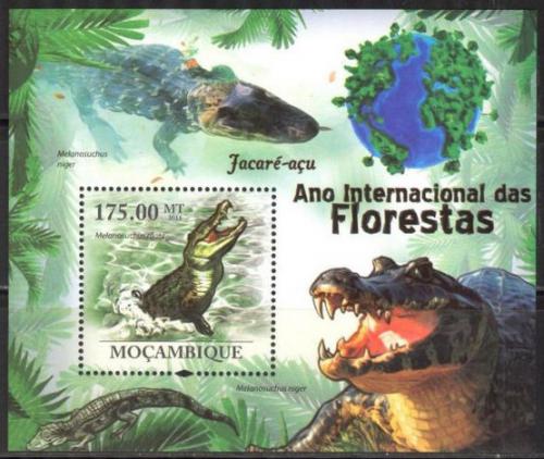 Poštová známka Mozambik 2011 Kajman èerný Mi# Block 410 Kat 10€