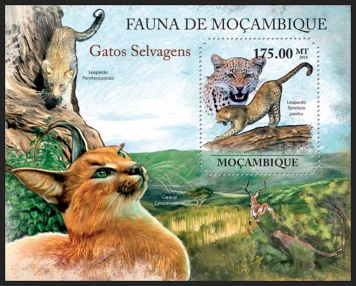 Poštová známka Mozambik 2011 Maèkovité šelmy Mi# Block 519 Kat 10€