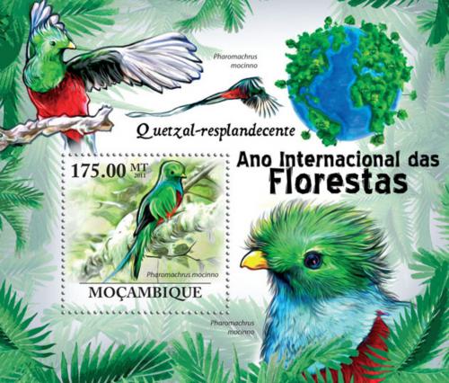Poštová známka Mozambik 2011 Kvesal Mi#  Block 416 Kat 10€