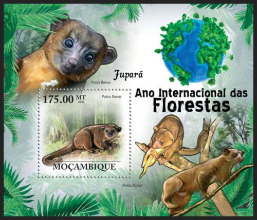 Poštová známka Mozambik 2011 Kynkažu Mi# Block 429 Kat 10€