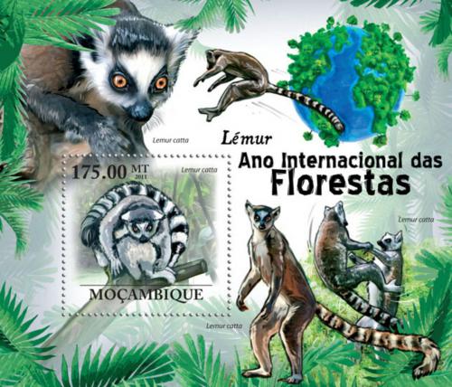 Poštová známka Mozambik 2011 Lemur kata Mi# Block 426 Kat 10€