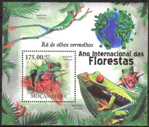 Poštová známka Mozambik 2011 Listovnice èervenooká Mi# Block 408 Kat 10€
