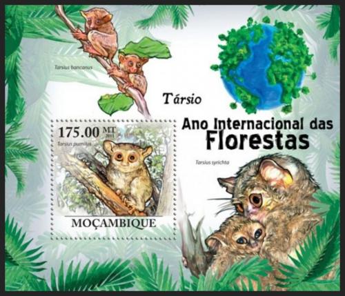 Poštová známka Mozambik 2011 Nártouni Mi# Block 430 Kat 10€