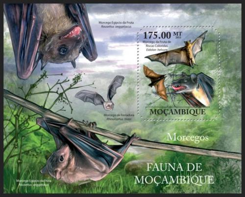 Poštová známka Mozambik 2011 Netopiere Mi# Block 509 Kat 10€