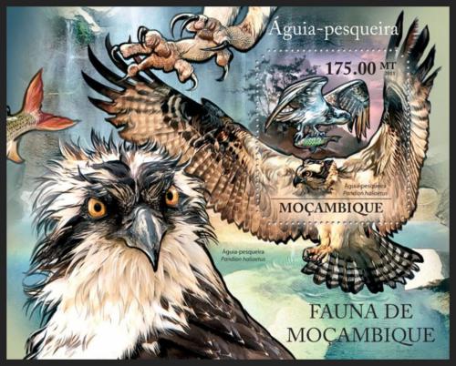 Poštová známka Mozambik 2011 Orlovec Mi# Block 505 Kat 10€