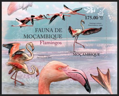 Poštová známka Mozambik 2011 Plameòáci Mi# Block 501 Kat 10€