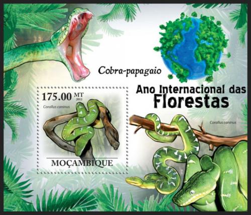 Poštová známka Mozambik 2011 Psohlavec zelený Mi# Block 412 Kat 10€