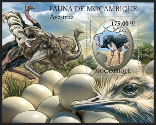 Poštová známka Mozambik 2011 Pštrosi Mi# Block 503 Kat 10€