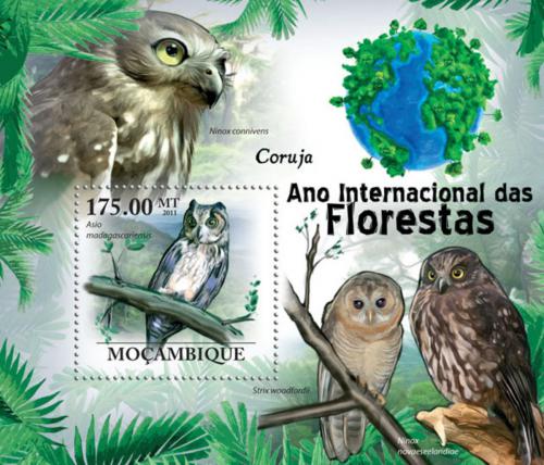 Poštová známka Mozambik 2011 Sovy Mi# Block 419 Kat 10€