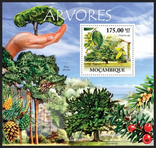 Poštová známka Mozambik 2011 Stromy Mi# Block 562 Kat 10€ 