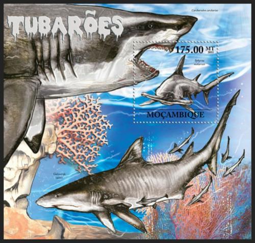 Poštová známka Mozambik 2011 Žraloky Mi# Block 566 Kat 10€